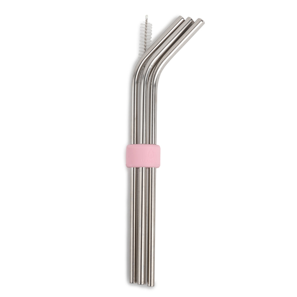 Set of 8 Stainless Steel Reusable Straws&Silicone Straw Holder